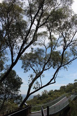Botanic Garden Perth