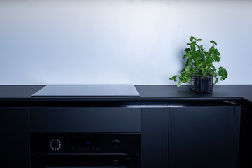 contemporary minimalistic kitchen interior with plant