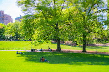 Fototapeta na wymiar People relax on the lawn and Park benches, which are surrounded by many growing fresh green trees in Central Park New York City NY USA on May. 11 2019.