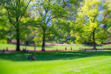 People relax on the lawn and Park benches, which are surrounded by many growing fresh green trees in Central Park New York City NY USA on May. 11 2019.