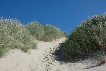 Dunes