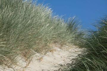 Dunes