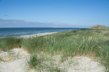 dunes