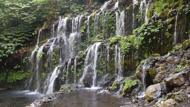 The scenic view of beautiful Waterfall, green plants and rocks, Bali, Indonesia