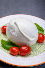 Cheese collection, soft white Italian mozzarella di bufala campana with fresh green basil leaves and red cherry tomatoes