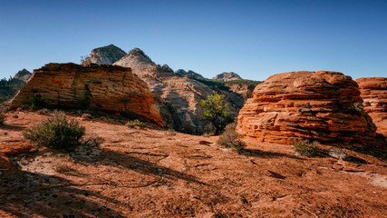 Zion National Park red rocks in sunset