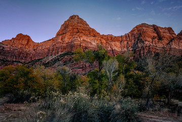 Zion National Park The Watchmann