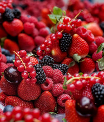 Fresh berries. wide assortment on street market. selective focus.