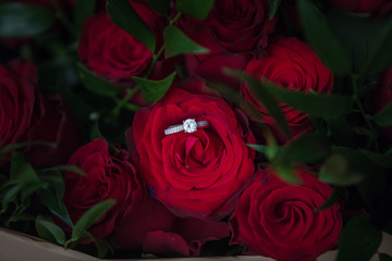 Diamond Ring On Red Rose