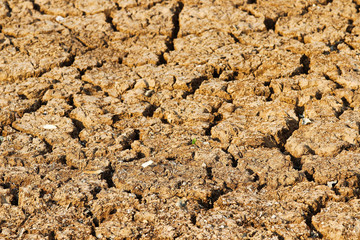 dried out soil - Pantanal, Mato Grosso do Sul, Brazil