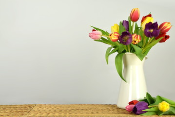 Springtime - Beginning of the year - Tulips on colored background