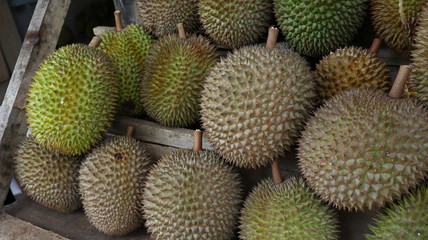 King of Fruits, Durian is a popular tropical fruit in Asia