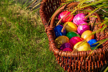 Close-up of Easter eggs in various colors in wicker basket on grass in the garden on sunny April morning (springtime). Egg hunt German Easter season holiday tradition. Horizontal format, copy space