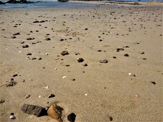 footprints on the beach