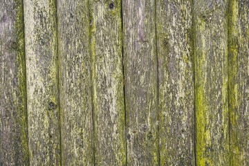 Old wood planks background for design