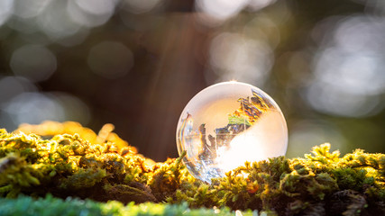 Crystal ball transparent in sunset on blurred abstract tropical forest scene.