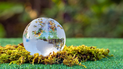 Crystal ball transparent in sunset on blurred abstract tropical forest scene.