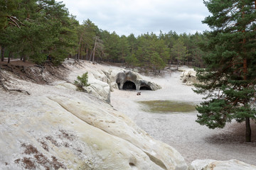 Deutschland, Sachsen-Anhalt, Blankenburg, Blick auf die Sandhöhlen im Heers, einem Waldstück...