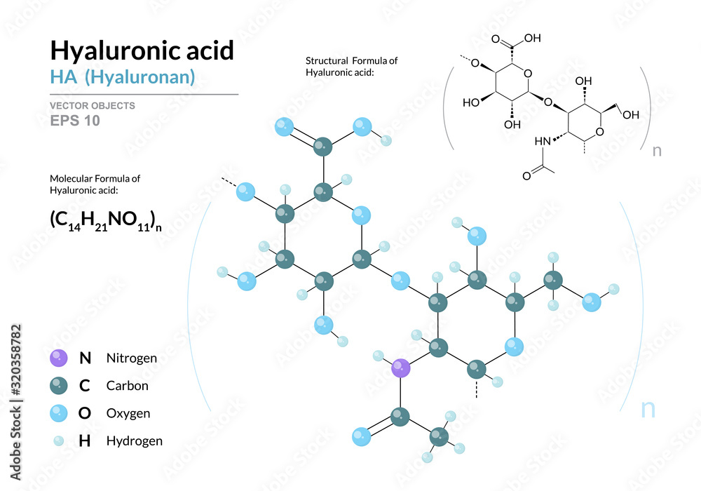 Wall mural Hyaluronic acid. HA Hyaluronan. Structural chemical formula and molecule 3d model. Atoms with color coding. Vector illustration