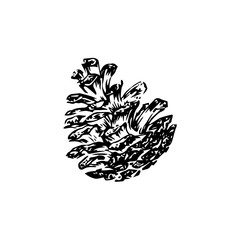 Obraz premium Hand drawn pinecone vector illustration. Linocut pine or fir cone decorative graphic image. Stylized monochrome engraved black isolated on white background