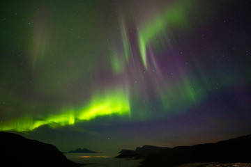 Obraz na płótnie Canvas The polar lights in Norway,Tromso