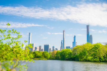 Obraz premium Midtown Manhattan skyscraper stand beyond the many growing fresh green trees along The Lake in Central Park New York City NY USA on May. 08 2019.