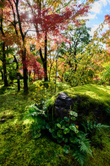 Couleurs d'automne à Kyoto
