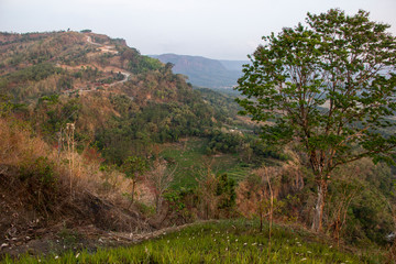 Fototapeta na wymiar beautiful panoramic from the top of hills Puncak. Green and brown colors are harmony.