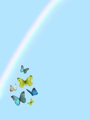 Obraz na płótnie Canvas Spiritual background for meditation with butterflies and rainbow 