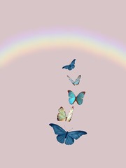 Obraz na płótnie Canvas Spiritual background for meditation with butterflies and rainbow 