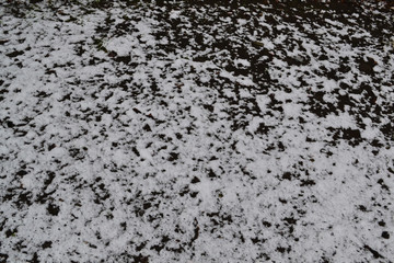 Winter background. Pure white snow on black earth