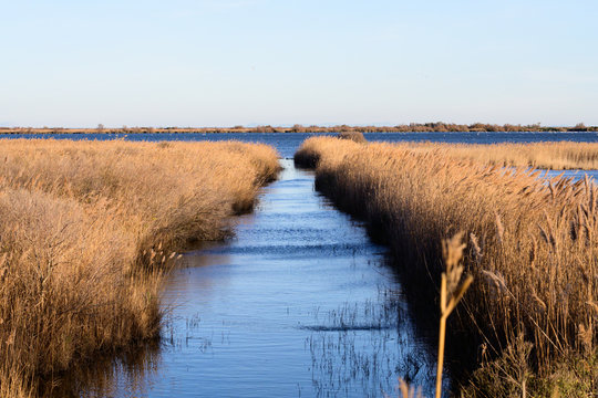 Paysage de Camargue