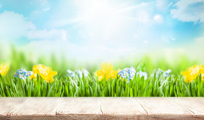 Wooden table and blurred green spring or summer background with grass and flowers.