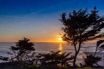 Sunset through the trees over the Pacific in San Francisco