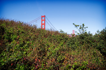 Golden Gate Bridge seen from Battery E Trail in San Francisco, California
