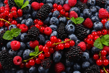 Blackberry, raspberry, blueberry,  red currant and mint background.