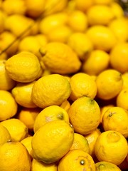 fresh lemons in a market