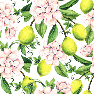 Seamless pattern with flowers and lemons. Watercolor illustration. Design for wallpaper, fabric, wrapping paper.