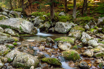 Naklejka na ściany i meble Slow motion mountain river and rocks. The fast jet of water at slow shutter speeds gives a beautiful fairy-tale effect. Small creek in a wild forest. Smoky Mountain stream, Rila Mountain, Bulgaria.
