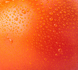 close-up macro view of Fresh raw tasty tomatoes