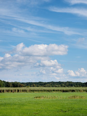 Heidelandschaft auf dem Darß, Ostsee