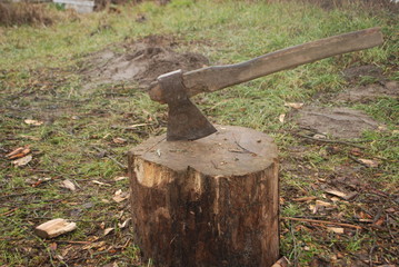  field, village, spring, reed, grass, ax, logs, bonfire, rain, boat, girl, flower