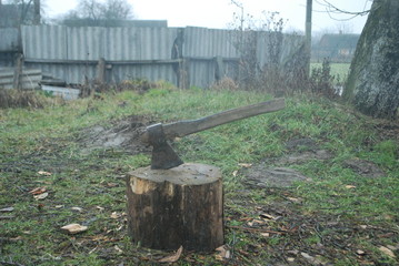  field, village, spring, reed, grass, ax, logs, bonfire, rain, boat, girl, flower