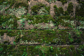  field, village, spring, reed, grass, ax, logs, bonfire, rain, boat, girl, flower
