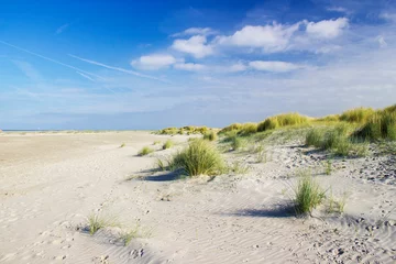 Tableaux ronds sur plexiglas Mer du Nord, Pays-Bas the dunes, Renesse, Zeeland, the Netherlands