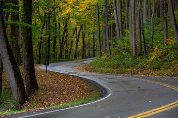Obraz premium road in forest, road in autumn,Winding road, autumn foliage, Great Smoky Mountains