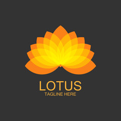 lotus flowers design logo Template icon