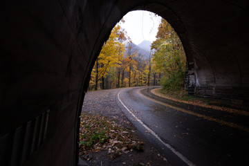 Fototapeta na wymiar tunnel with light at end of tunnel, road in forest, road in autumn,Winding road, autumn foliage, Great Smoky Mountains