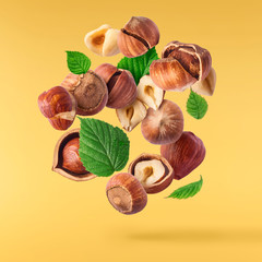 Hazelnuts crushed into pieces, frozen in the air.