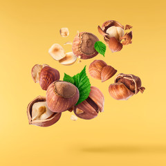 Hazelnuts crushed into pieces, frozen in the air.
